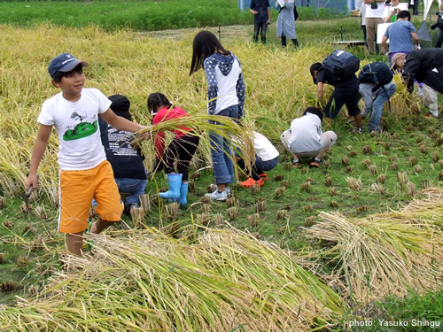 photo: Yasuko Shingu