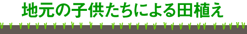 地元の子供たちによる田植え