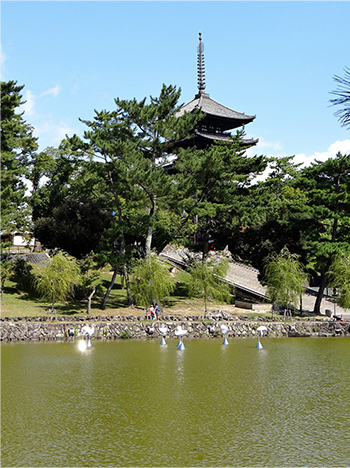 Works at Sarusawa Pond in Big Art Festival in Nara Prefecture