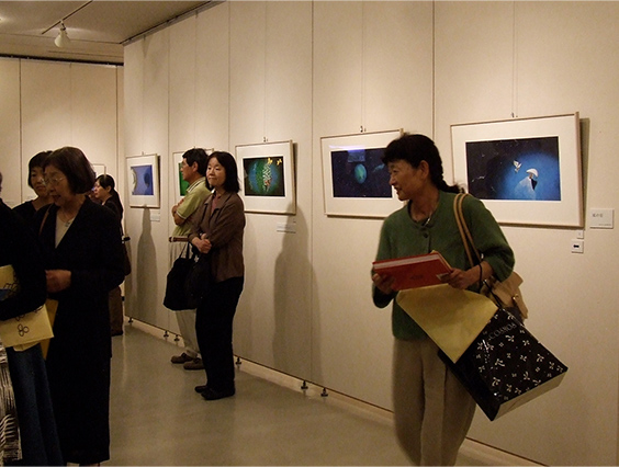 Original Drawings for Picture Books by Susumu Shingu at MAY THEATER in Osaka